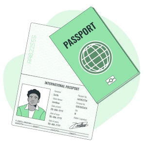 visa-icon